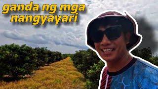 INSTANT CASH ANG MERON SA FARM (Part 2)