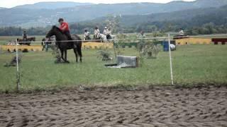 Martin Rojec in kobila Pika (Imeno - 2011)