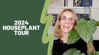 2024 Houseplant Tour