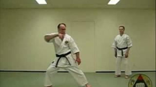 Okinawa Shorin-ryu Karate: Assorted Kata Bunkai (clip 4)