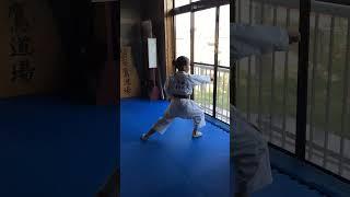 Suzuna(8 year old girl) practicing Heiangodan.