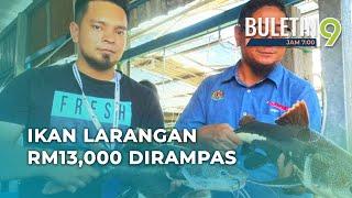 150 Ekor Ikan Larangan Bernilai Lebih RM13,000 Disita