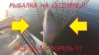 Форель на Сегозере, открытие сезона #Сегозеро #Форель #ОтдыхКарелия #РыболовныйГид #Спининг #Лето