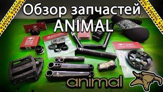 Обзор запчастей Animal BMX