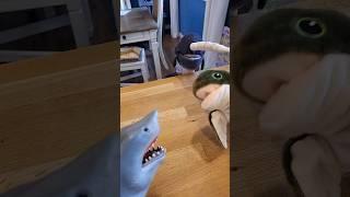 Hungry Hand and Toto meet a NEW FRIEND!
