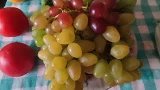 Summer fruit in Odessa Ukraine, feel in heaven!