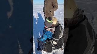 Hand lining up a Huge Pike! #icefishing #pike #fishing