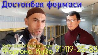 Достонбек қуён фермаси. Фарғона в, Қува шахрида. Қуён нархлари - апрель 2021.