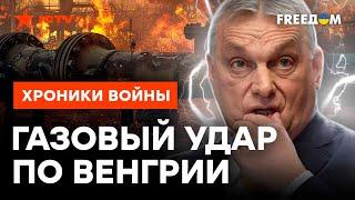 КИЕВ ПРИСТРУНИТ БУДАПЕШТ  Почему ОРБАНУ не оставят ВЫБОРА