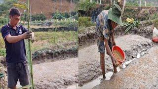Tien helps his mother sow rice seedlings for the new crop.