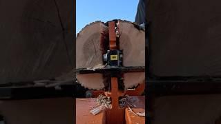 Ash With Wolf Ridge 22 RS‼️#firewood #getsplitdone