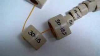 Dr. Pulley Sliders a brief explanation Distributed by MRP