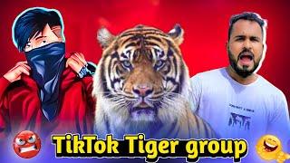 TikTok Tiger Group all Cringe Tiktokar    (Roast)