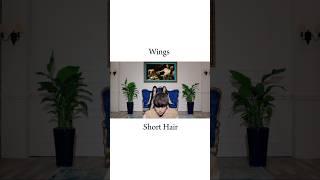 Ahn Jae Hyun appeared on the MV “Wings - Short Hair” | #2014 #throwback
