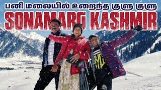 SONAMARG KASHMIR | இந்த வெயில்ல சரியான இடம்️|  Akila Kannan Vlogs