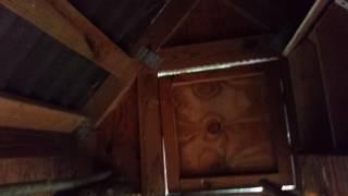 Cheap solar chicken coop lighting solution