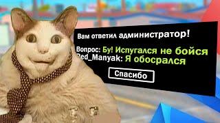 РЕАКЦИЯ АДМИНОВ НА "БУ! ИСПУГАЛСЯ НЕ БОЙСЯ" В РЕПОРТ [Arizona RP]