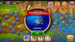 CARAWAY HARVESTING|SOLITAIRE GRAND HARVEST LEVEL 5520