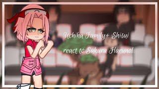 Uchiha Family+ Shisui react to Sakura Haruno! || PART 1