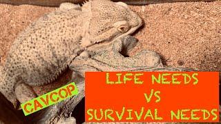 Life Needs vs Survival Needs