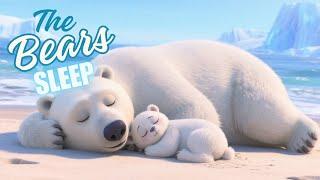 Baby bear and his mommy sleeping /sound of the sea ️ Relaxation and calm for sleep 
