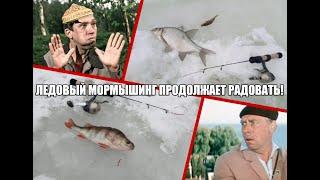 Ледовый МОРМЫШИНГ продолжает радовать!