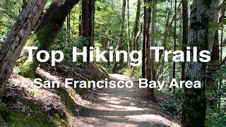 Top 10 Hiking Trails in San Francisco Bay Area