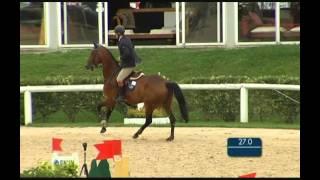 Zorro `Sporthorses from Holland` SOLD peter bulthuis