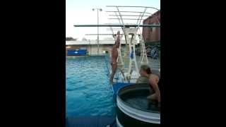 KRISTIAN  IPSEN   DIVING workout