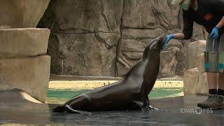 Animal Training | Go Wild