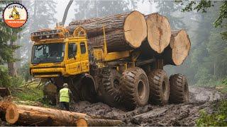 Risky Logging Trucks: Dangerous Trails and Heart-Stopping Rescues #68