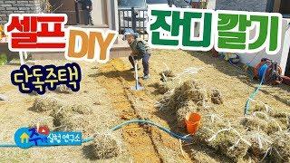 잔디 심기 I 뗏장 I 셀프 I DIY I 잔디 깔기 I 잔디 식재 I 잔디 키우기 I 주택라이프