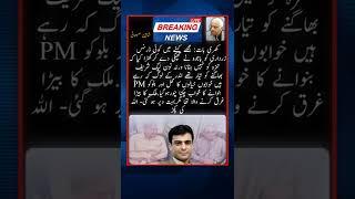 Hamza Shahbaz Sharif Government