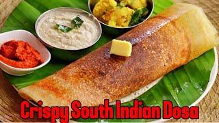 Homemade Crispy Dosa Recipe for Beginners | Step-by-Step Tutorial