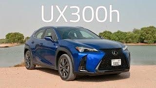 2024 Lexus UX300h F Sport review | DRIVETERRAIN