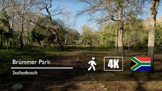 South Africa, Stellenbosch - Walk through Brümmer Park - Nonstop Walking | ASMR | 4K