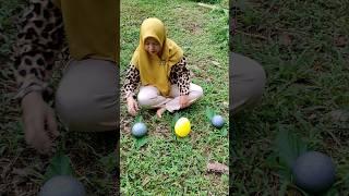 yellow egg and gray egg #egg #eggs