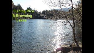 Fishing Rice & Browning Lakes