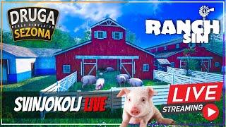 KLANJE SVINJA & PROIZVODNJA MESA! *Ranch Simulator*