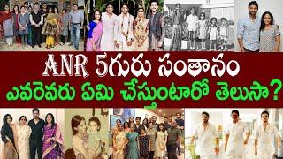 ANR 5గురు సంతానం |ఎవరెవరు ఏమి చేస్తుంటారో తెలుసా? | akkineni family tree