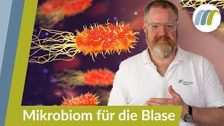Blasenentzündung vorbeugen - Das Mikrobiom auf Vordermann bringen | Urologie am Ring