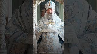 Епископ Питирим Русской Православной Церкви