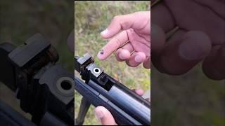 Airgun shot hunting wild birds #birdhunting #airgunhunters #airgun