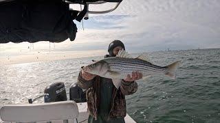 December Striped Bass BLITZ off Atlantic City New Jersey!!!