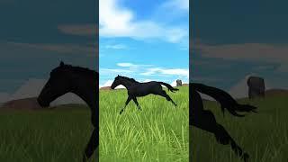  тг Pretty Channel #starstable #horse