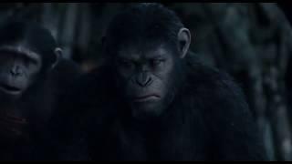 War movie of monkeys and humans (Maymunlar ve insanların savaş filmi)