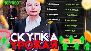 ЗАРАБОТАЛ за 2 ДНЯ - 25КК! КАК? AMAZING ONLINE