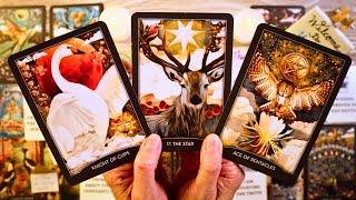 THE APOLOGY (& MORE!!) YOU'VE BEEN WAITING FOR!!! ️ LOVE TAROT