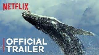 Our Planet | Official Trailer [HD] | Netflix