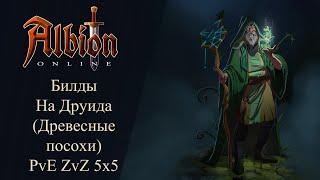 Albion online : Билды на Друида ( Древесные посохи ) PvE ZvZ GvG 5x5